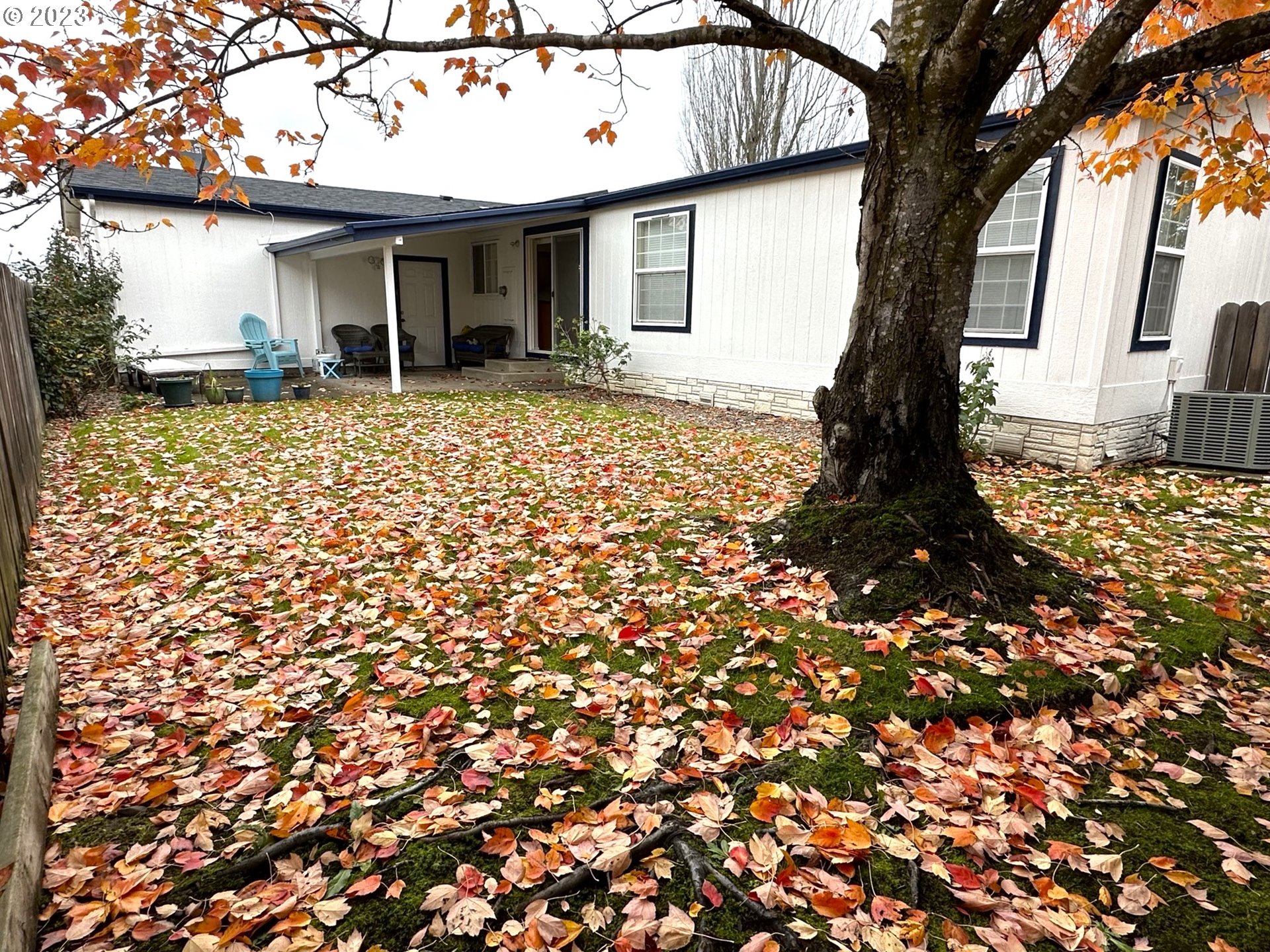 4055 Royal Avenue, Unit 24 Eugene, OR 97402 - Photo 8 of 31 a house with trees in front of it