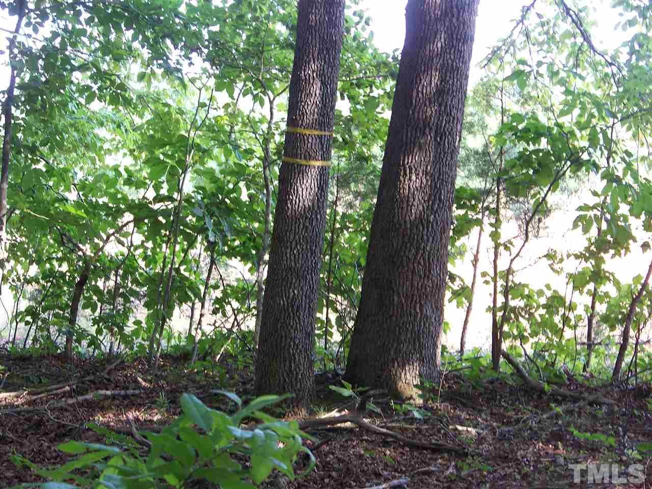 1 A Virgilina Road Roxboro, NC 27574 - Photo 11 of 23
