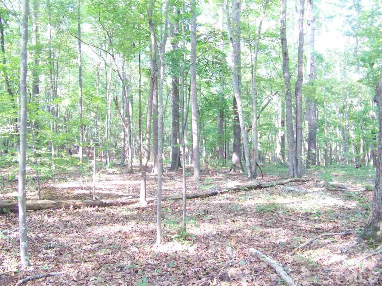 1 A Virgilina Road Roxboro, NC 27574 - Photo 12 of 23