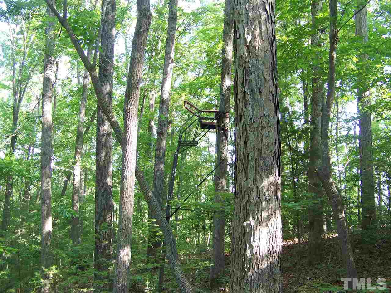 1 A Virgilina Road Roxboro, NC 27574 - Photo 13 of 23