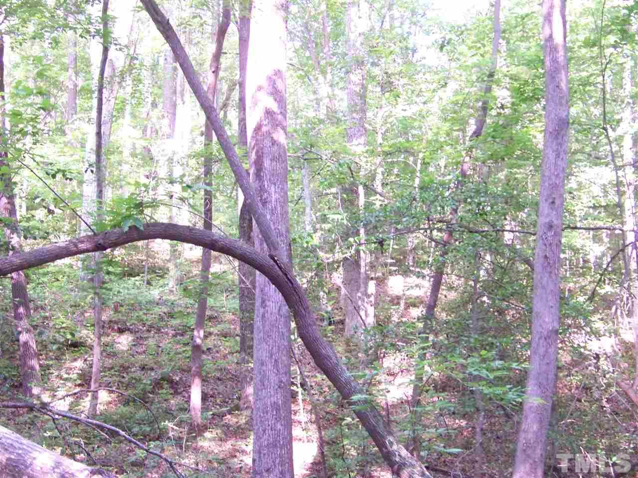 1 A Virgilina Road Roxboro, NC 27574 - Photo 15 of 23