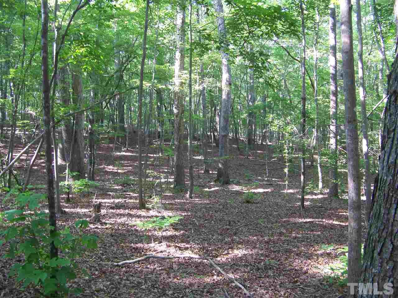 1 A Virgilina Road Roxboro, NC 27574 - Photo 16 of 23