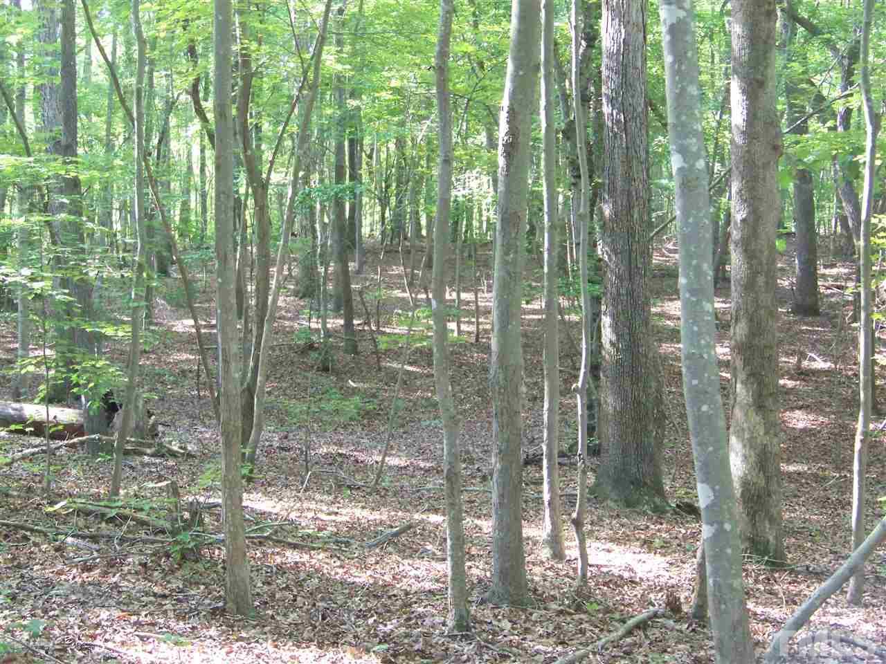 1 A Virgilina Road Roxboro, NC 27574 - Photo 17 of 23