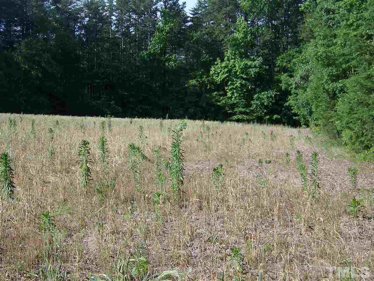 1 A Virgilina Road Roxboro, NC 27574 - Photo 18 of 23