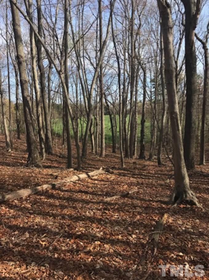 1 A Virgilina Road Roxboro, NC 27574 - Photo 4 of 23