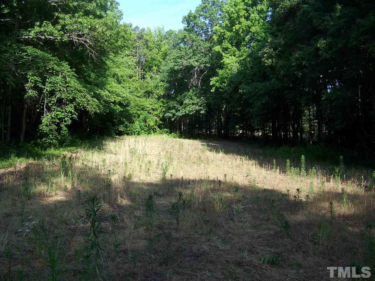 1 A Virgilina Road Roxboro, NC 27574 - Photo 5 of 23