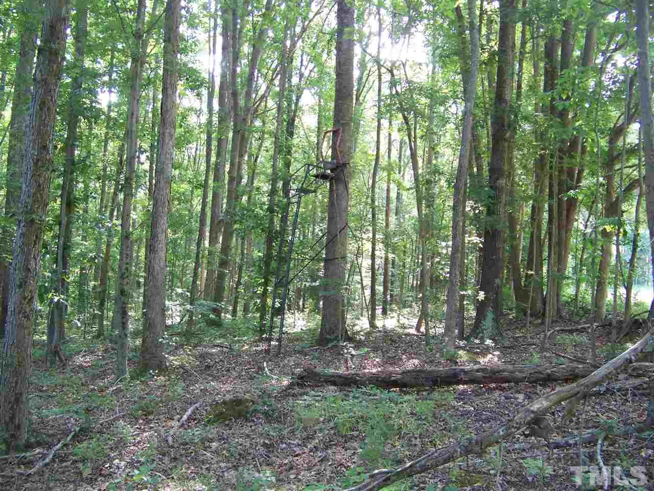 1 A Virgilina Road Roxboro, NC 27574 - Photo 6 of 23