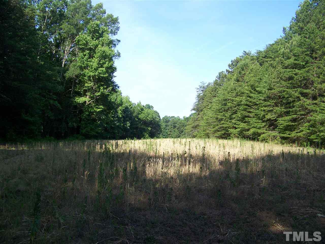 1 A Virgilina Road Roxboro, NC 27574 - Photo 7 of 23