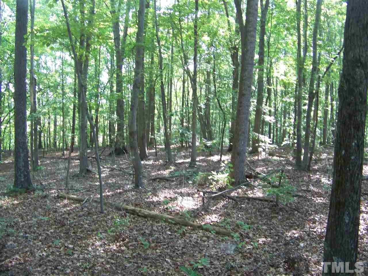 1 A Virgilina Road Roxboro, NC 27574 - Photo 8 of 23