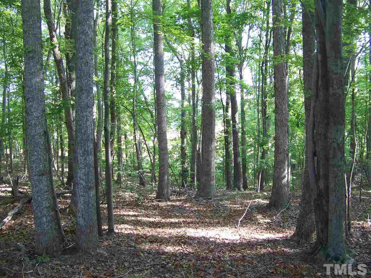 1 A Virgilina Road Roxboro, NC 27574 - Photo 9 of 23