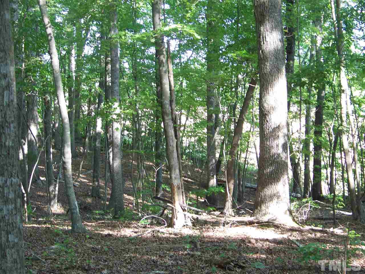 1 A Virgilina Road Roxboro, NC 27574 - Photo 10 of 23
