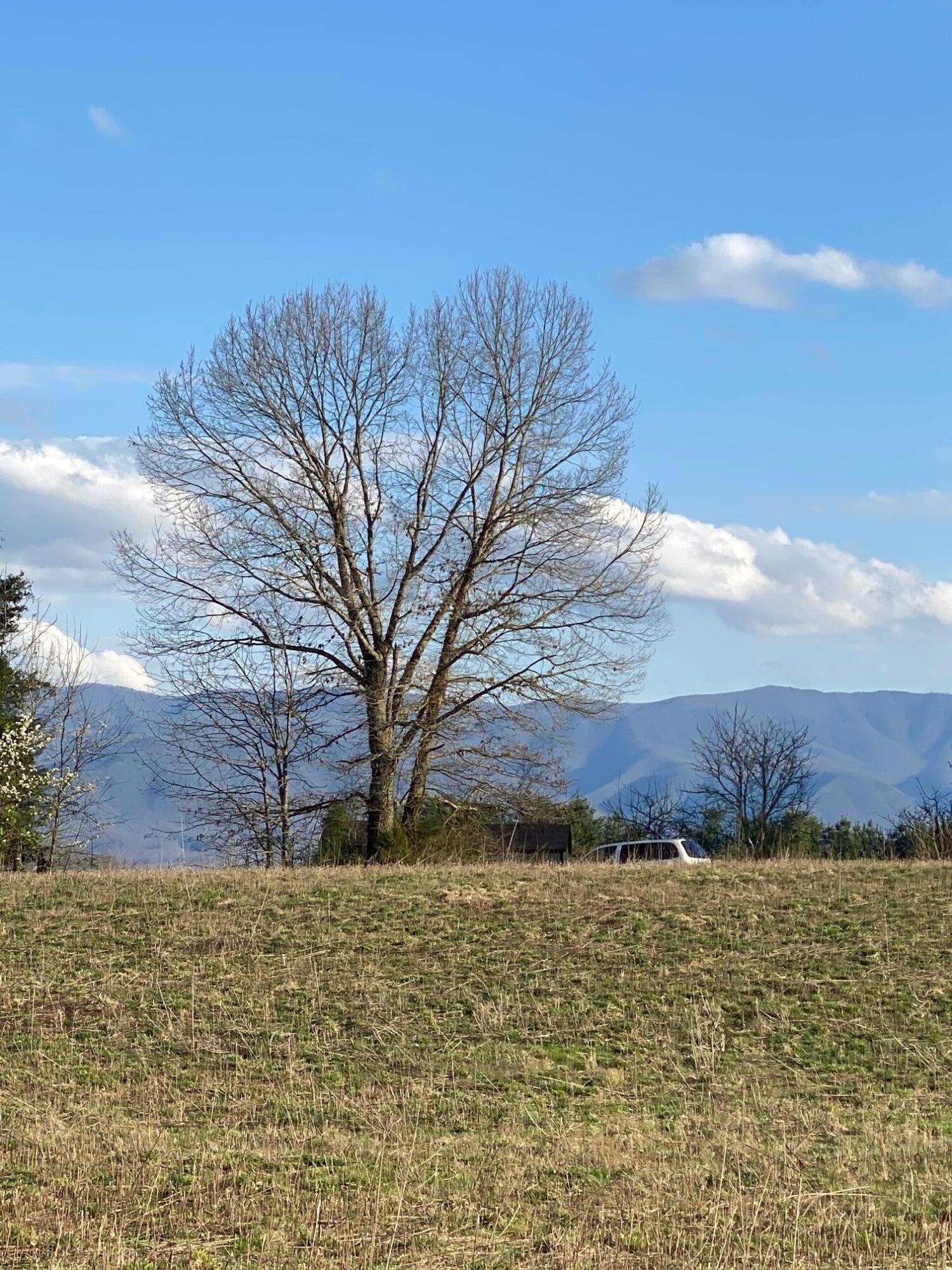 Shiloh Farms Lot 10 a