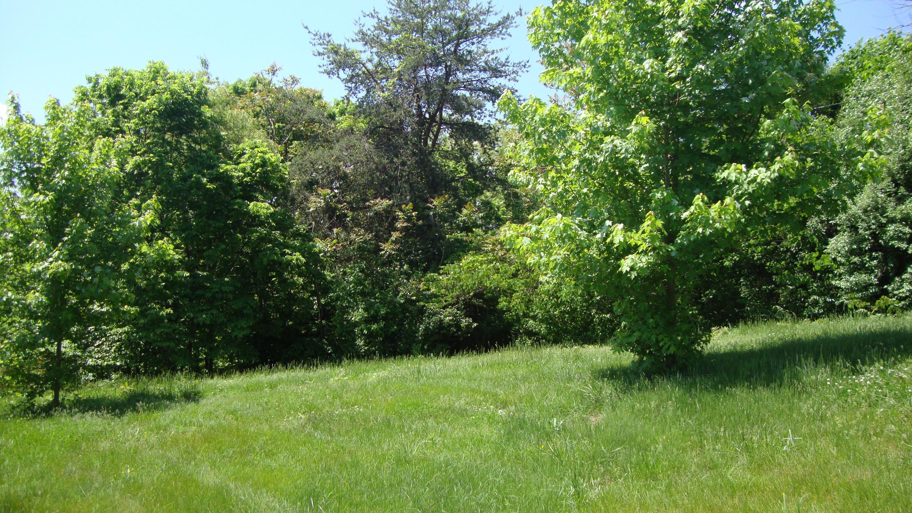 1539 Coral Ridge Road Southwest Roanoke, VA 24018 - Photo 7 of 34 DSC04829