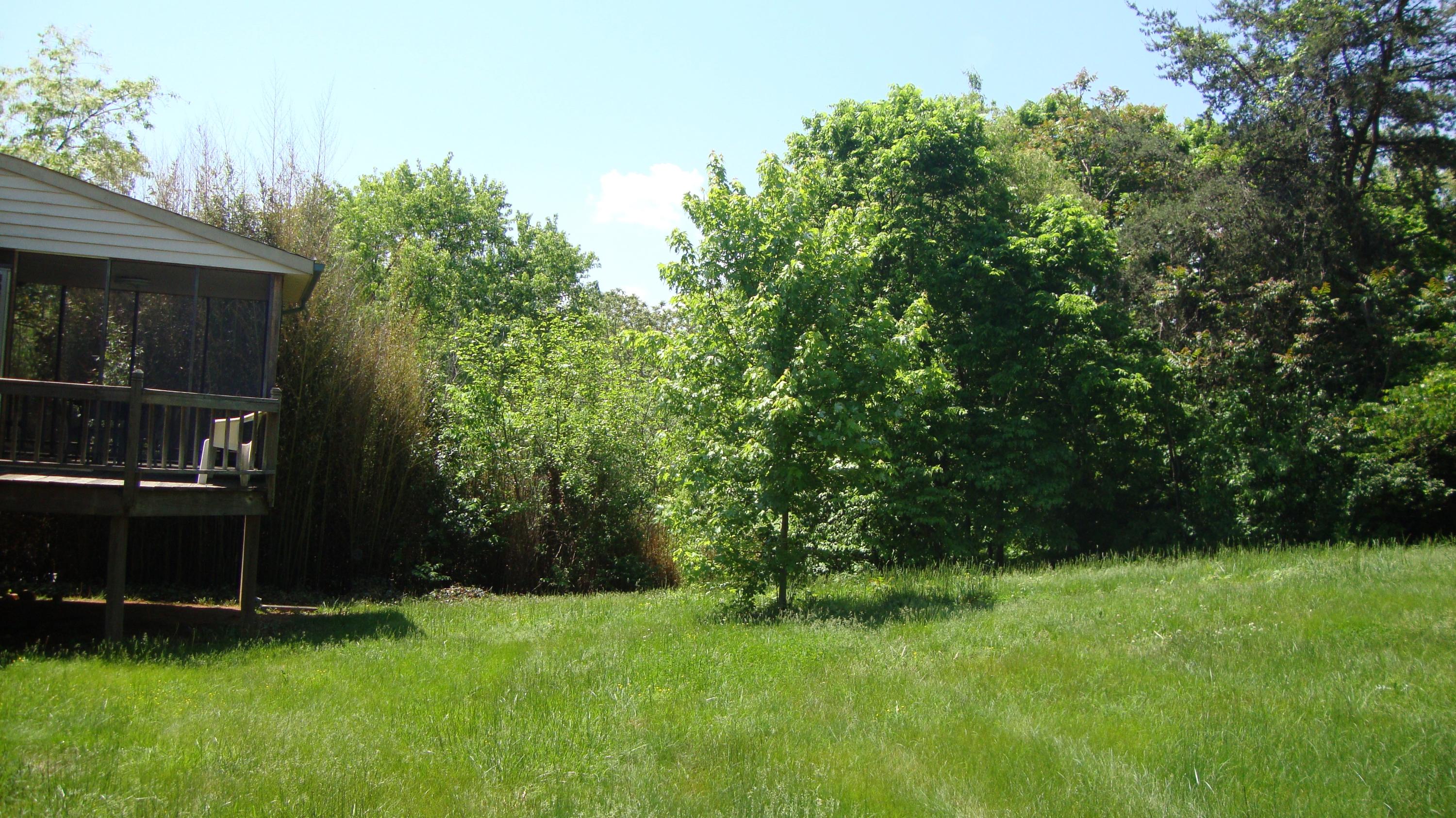1539 Coral Ridge Road Southwest Roanoke, VA 24018 - Photo 8 of 34 DSC04830