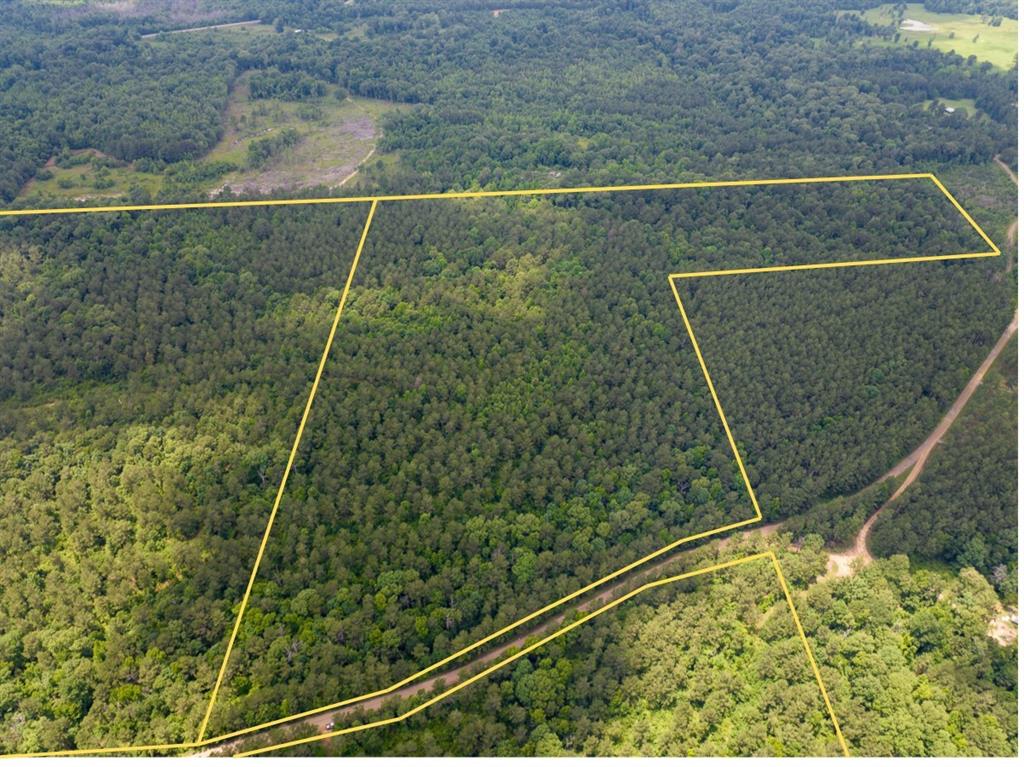 2 Posey Webb Camp Road Jonesville, LA 71343 - Photo 2 of 13