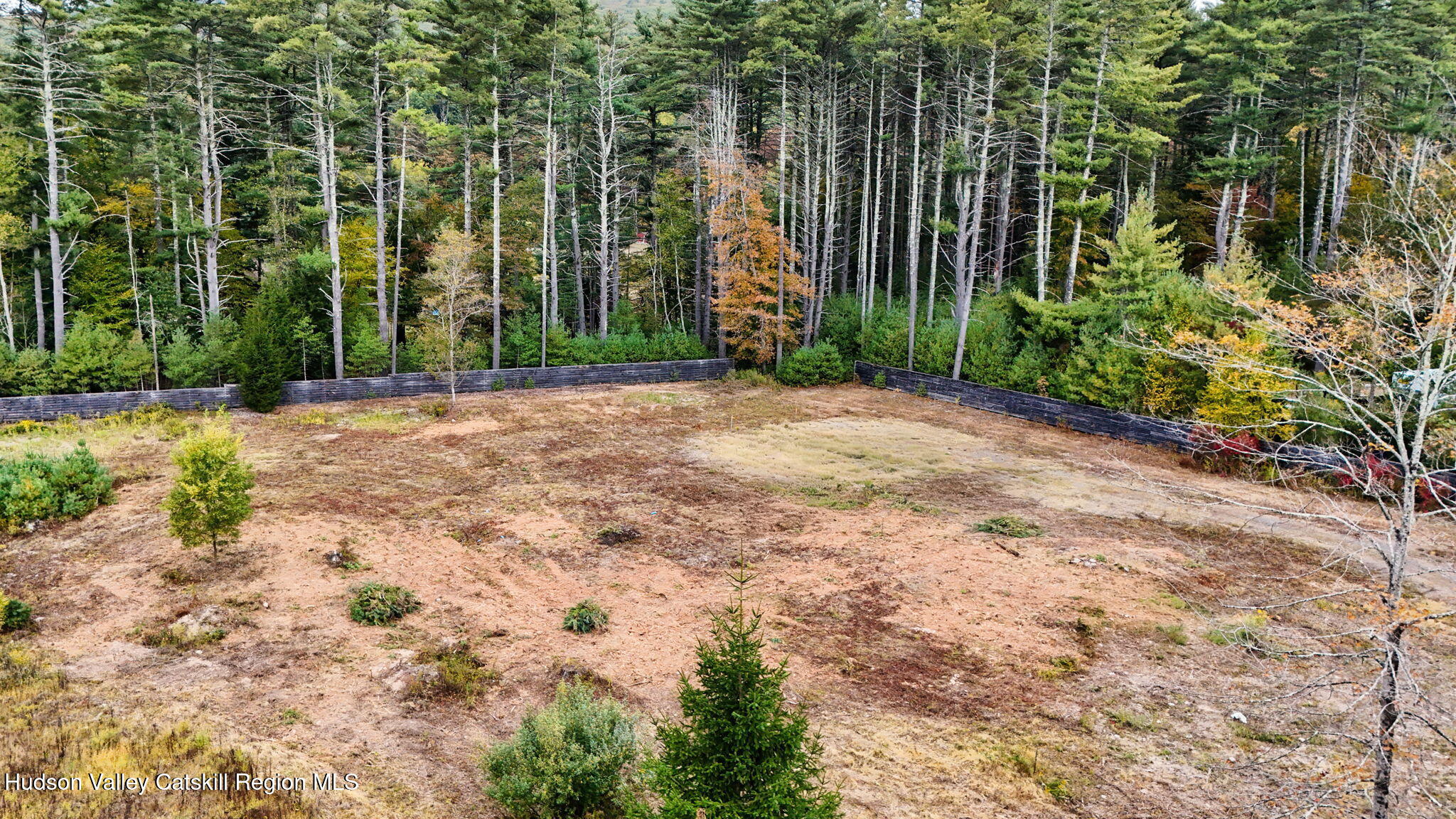 420 Wittenberg Road Mount Tremper, NY 12457 - Photo 20 of 24 a view of a park with plants and trees