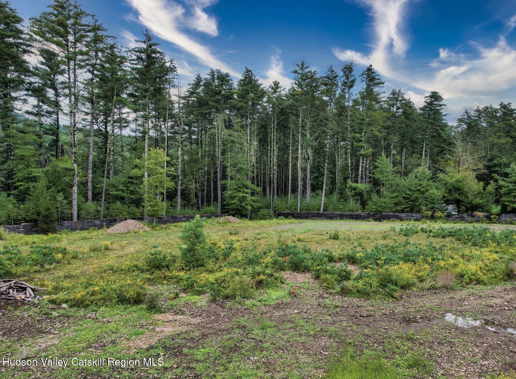 420 Wittenberg Road Mount Tremper, NY 12457 - Photo 21 of 24 a view of outdoor space and green space