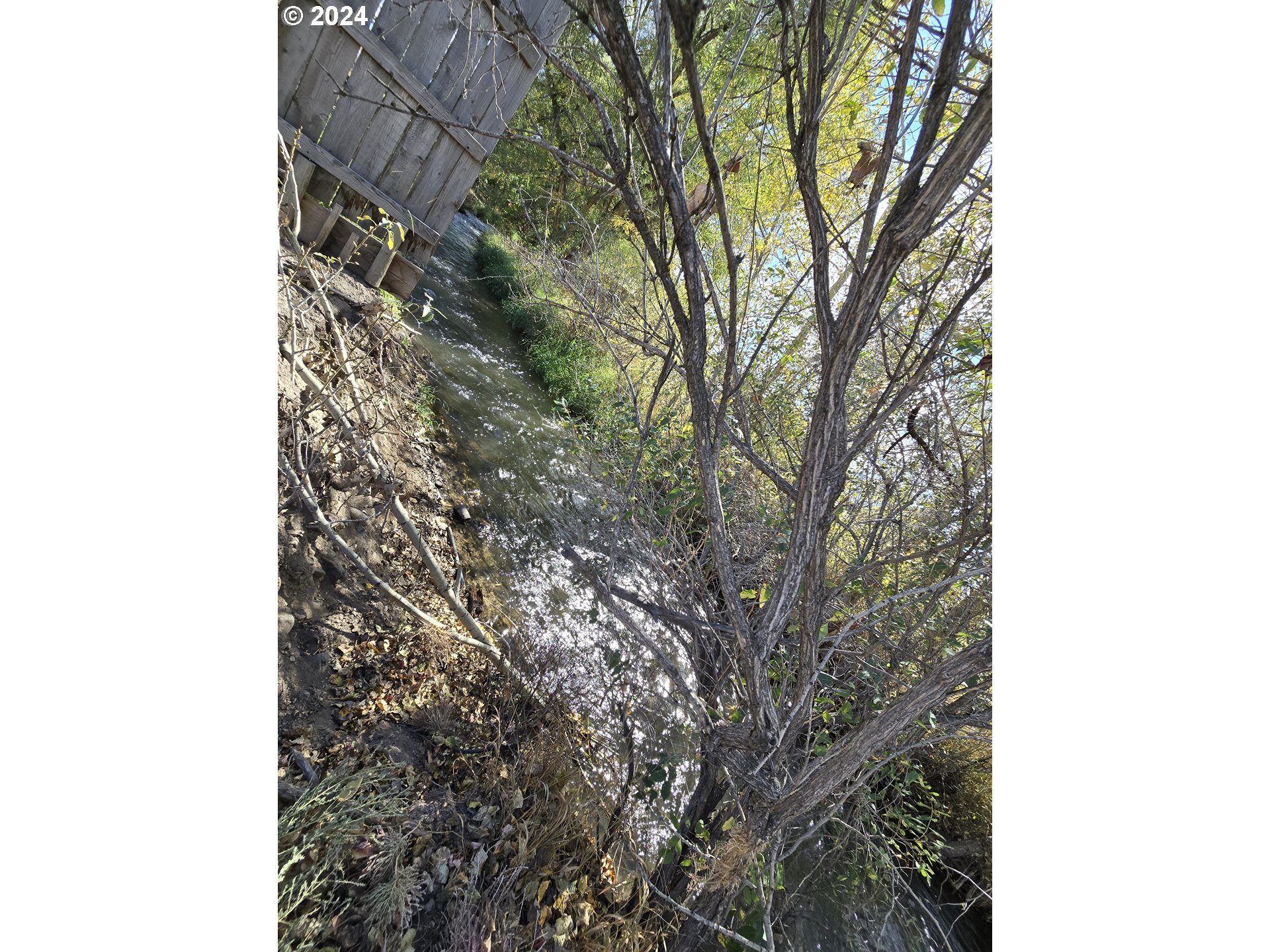 0 North River Street Enterprise, OR 97828 - Photo 5 of 8 a picture of a tree