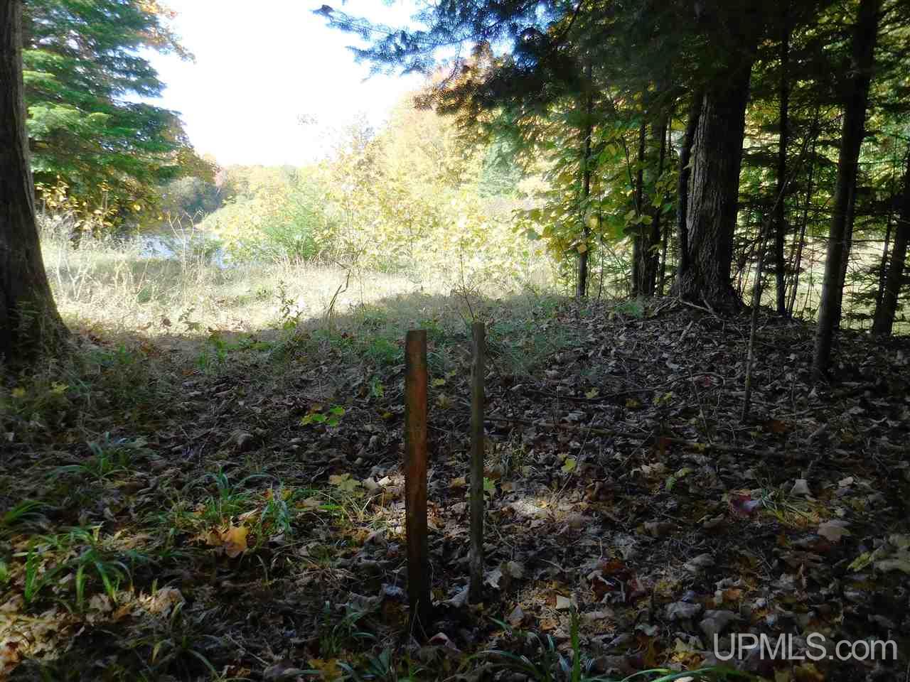 12 Acres Off Rice Road Manistique, MI 49854 - Photo 12 of 14