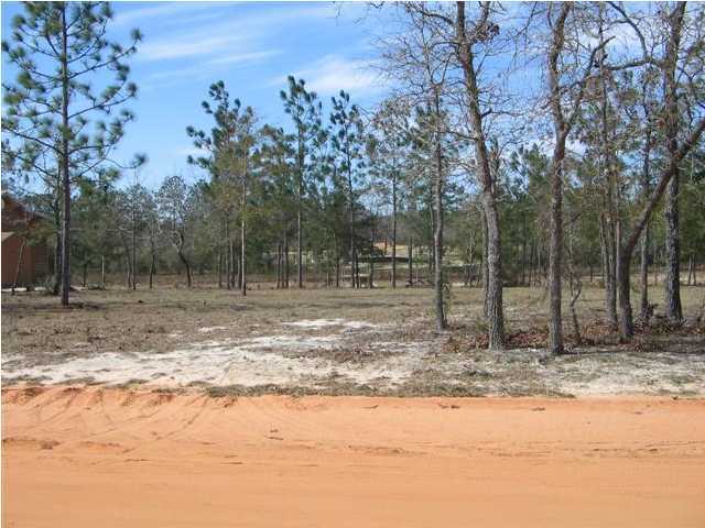 0 West Raphael DeFuniak Springs, FL 32433 - Photo 3 of 4 Gallery Image 3