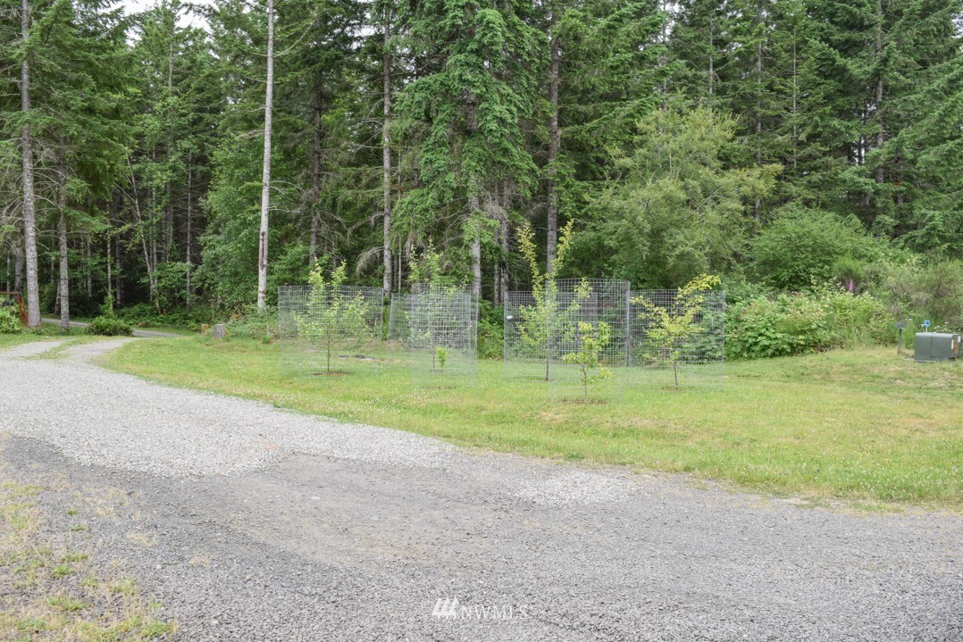 20 East Richardson Road Belfair, WA 98528 - Photo 27 of 40 Gallery Image 27