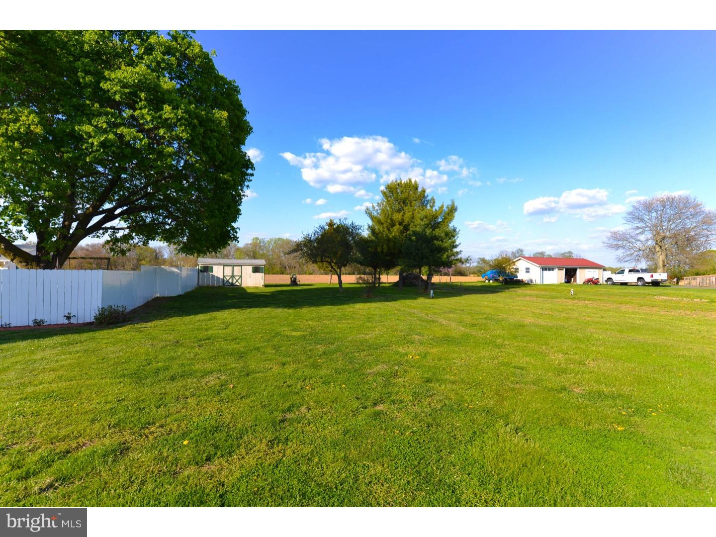 742 Salem Quinton Road Quinton, NJ 08079 - Photo 23 of 23 a view of yard with an trees