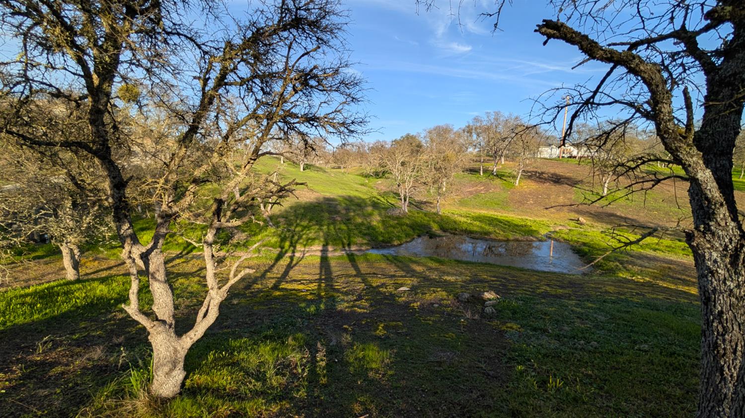 Beautiful landscape.  Seasonal Pond. Mature Oaks.  This is a view from street level to the back of the property.