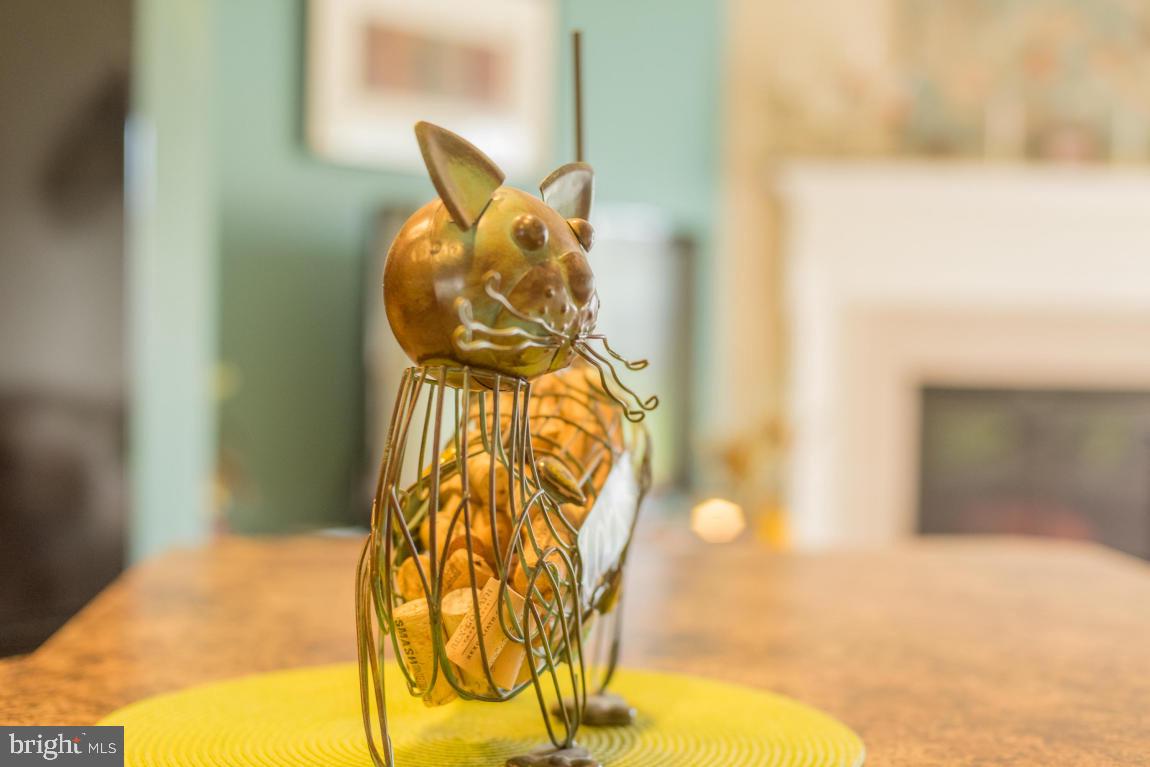 16 Waterleaf Road Lancaster, PA 17603 - Photo 12 of 26