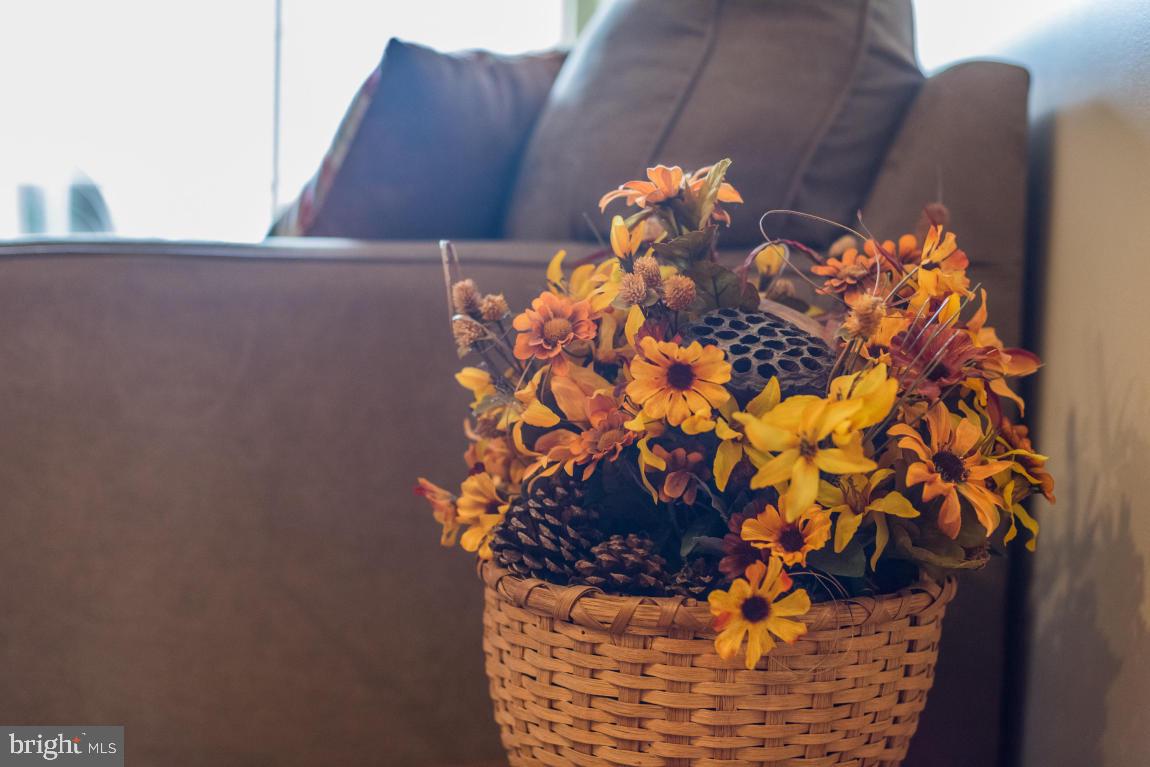 16 Waterleaf Road Lancaster, PA 17603 - Photo 15 of 26