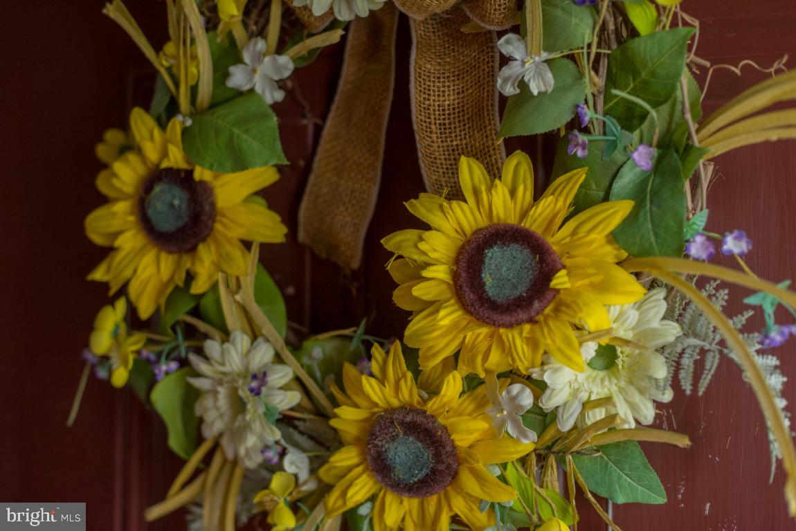 16 Waterleaf Road Lancaster, PA 17603 - Photo 4 of 26