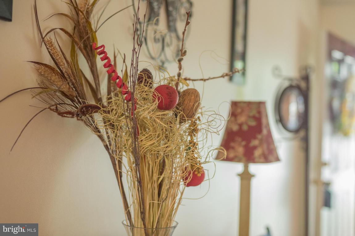 16 Waterleaf Road Lancaster, PA 17603 - Photo 9 of 26