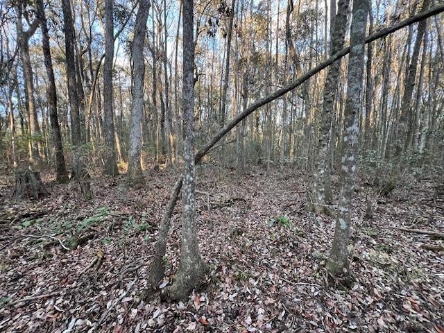 25-ac Smyrna Road Florala, AL 36442 - Photo 32 of 36 Gallery Image 32