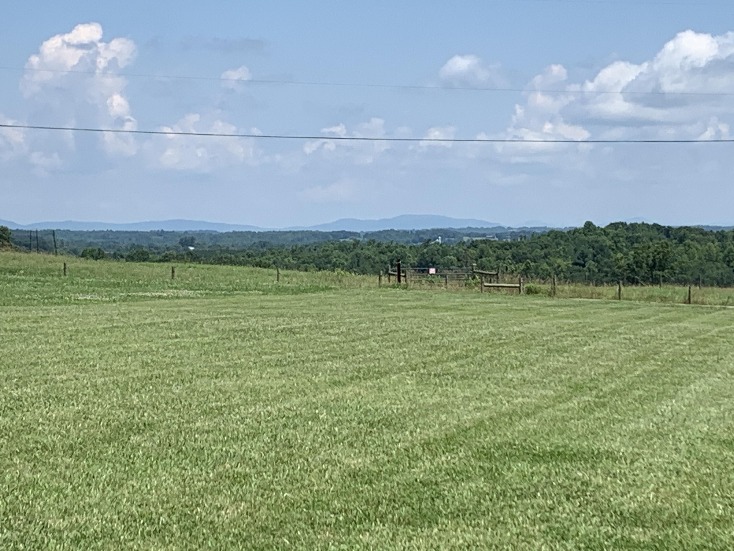 103 Taylor Tyree Road Rocky Mount, VA 24151 - Photo 15 of 35 16 Back Yard