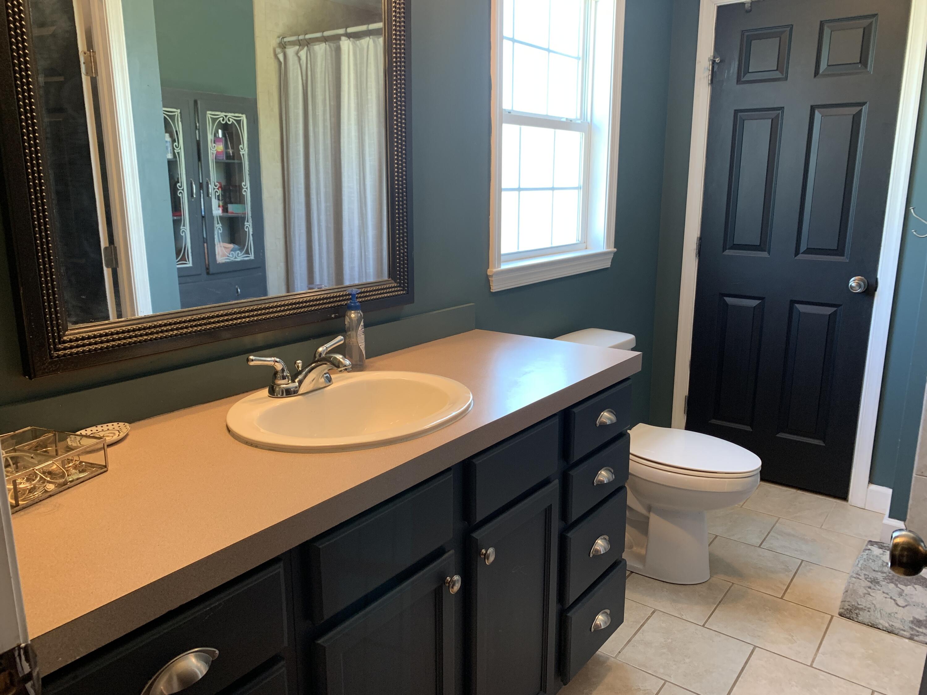 103 Taylor Tyree Road Rocky Mount, VA 24151 - Photo 9 of 35 10 Master Bath