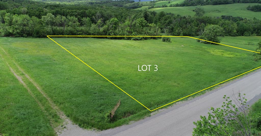 Lot 3 Beardsley Hollow Road Alpine, NY 14805 - Photo 1 of 1