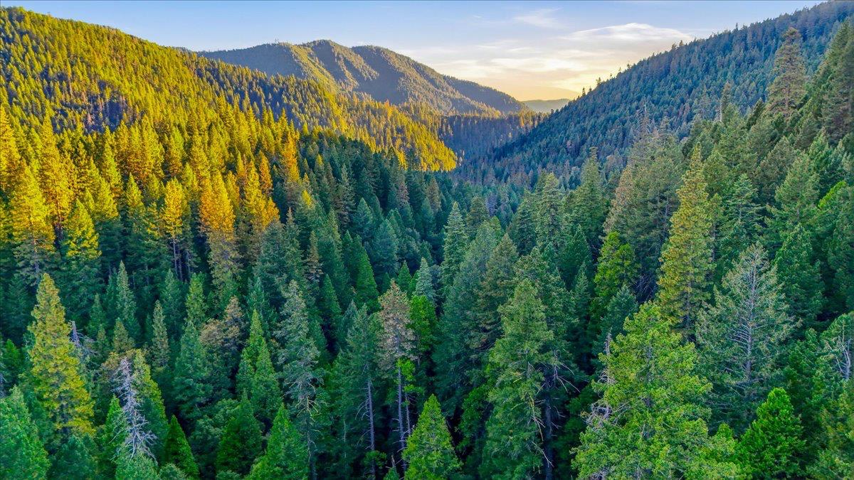 200 Craycroft Ridge Road Downieville, CA 95936 - Photo 3 of 69 Gallery Image 3