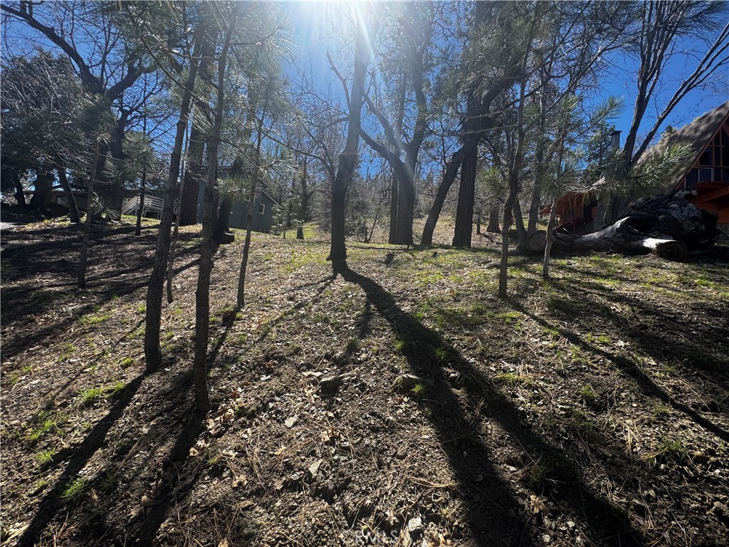 0 Oriole Road Wrightwood, CA 92397 - Photo 13 of 15