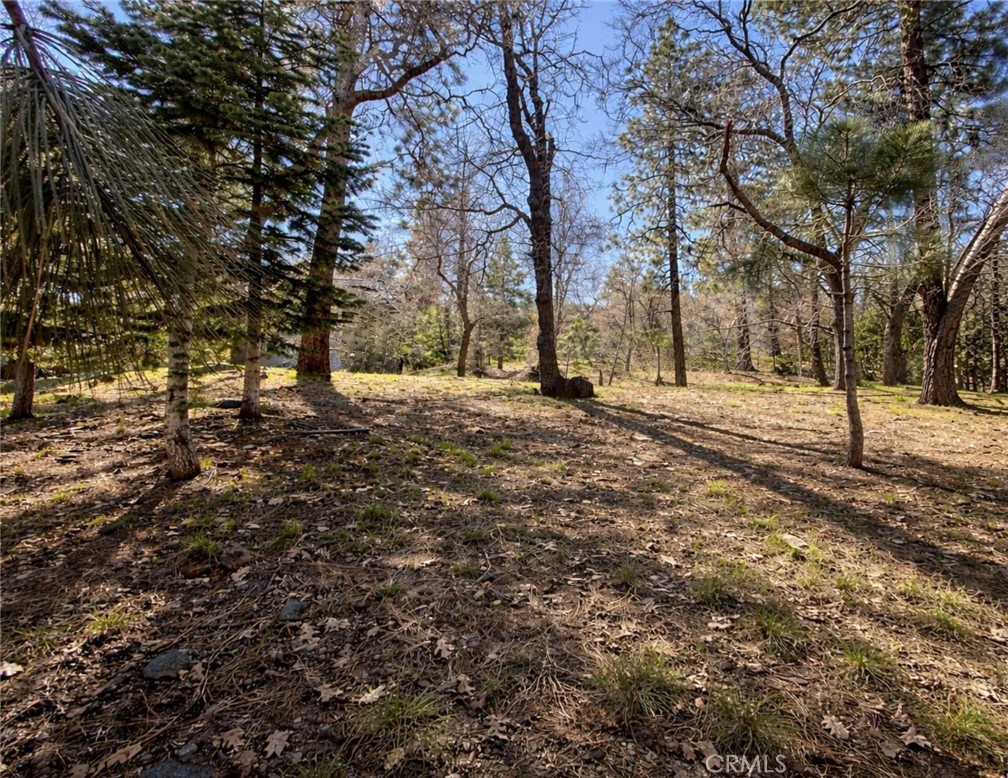 0 Oriole Road Wrightwood, CA 92397 - Photo 15 of 15