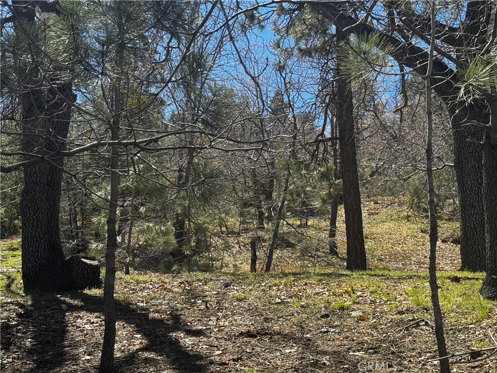 0 Oriole Road Wrightwood, CA 92397 - Photo 4 of 15