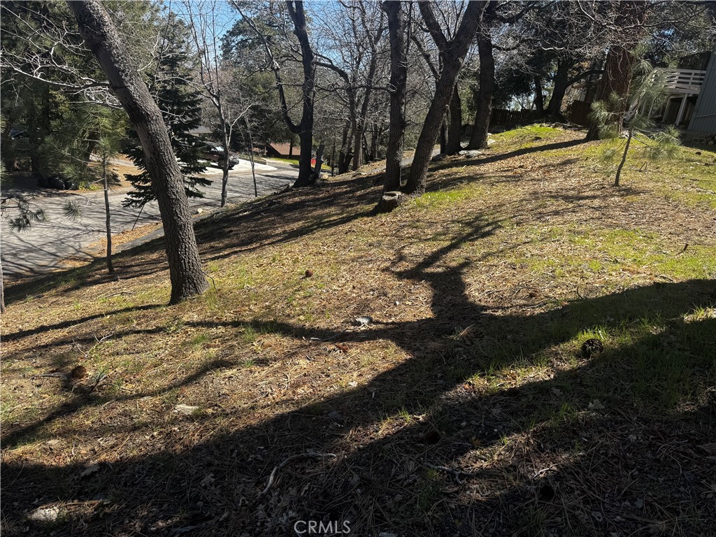 0 Oriole Road Wrightwood, CA 92397 - Photo 10 of 15