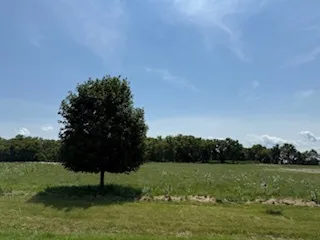 a view of lake with green space