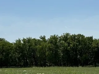 a view of a grassy field