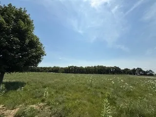 a view of a lake with a city