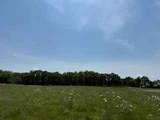 a view of field with grass