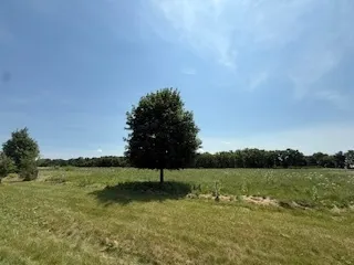 a view of a lake with houses in the background