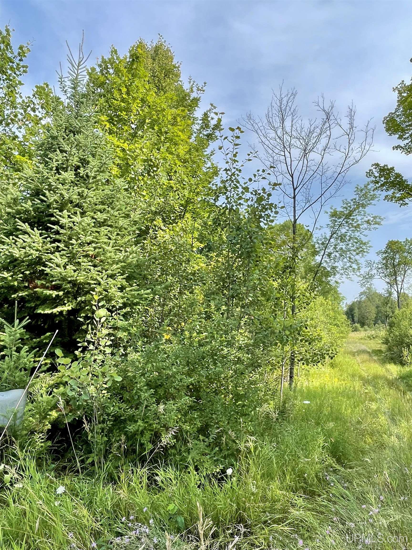 400 Rd Spalding Mi 49886 Road Powers, MI 49874 - Photo 20 of 24 Gallery Image 20