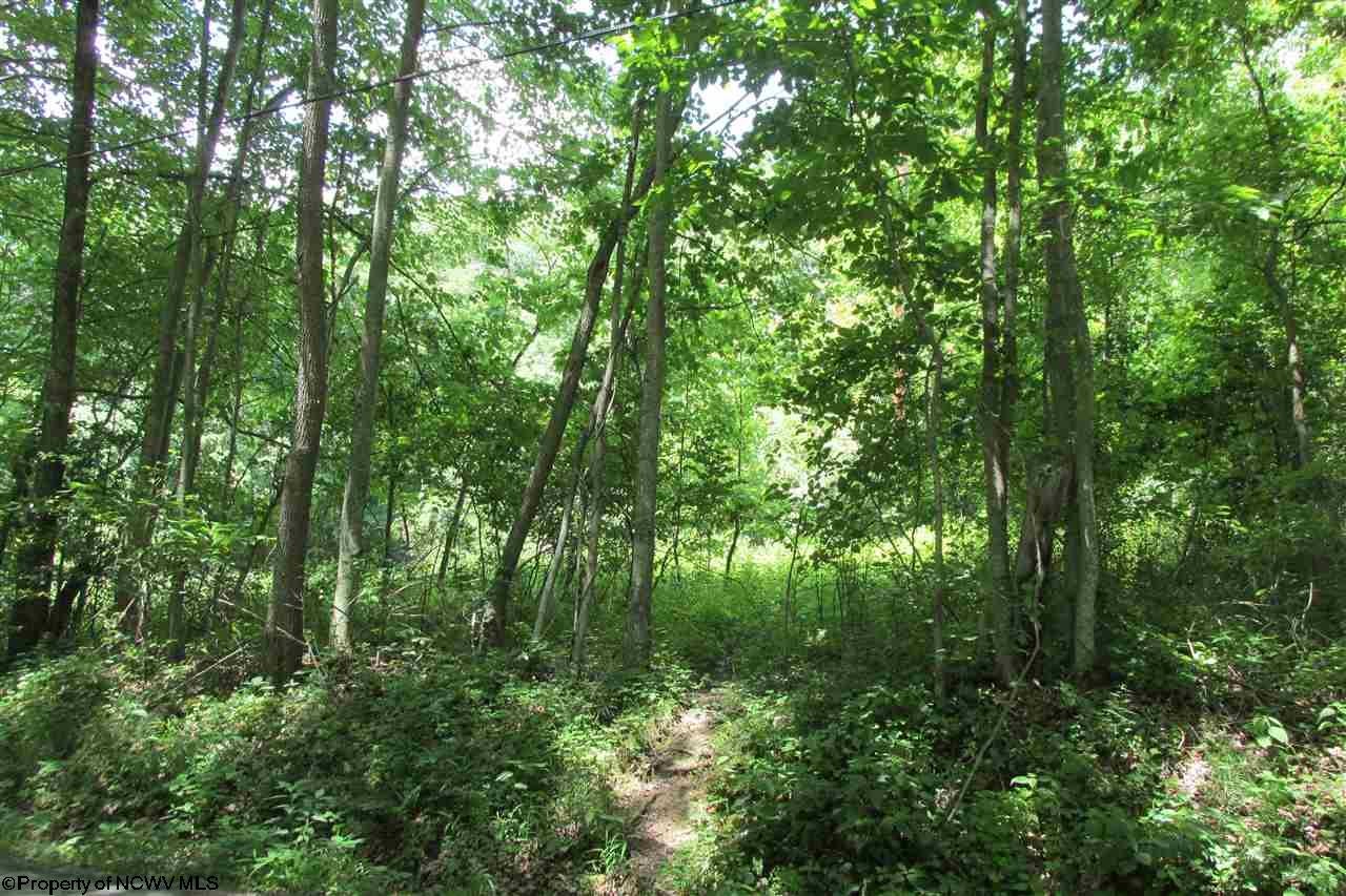 38.458-acres Hammond Road Fairmont, WV 26554 - Photo 1 of 6 Gallery Image 1