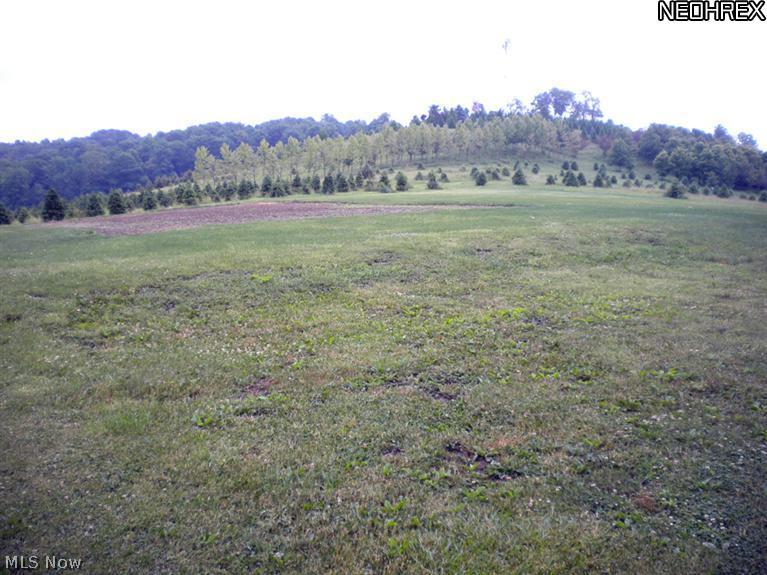 22576 Kurtz Road Minerva, OH 44657 - Photo 9 of 10 Gallery Image 9