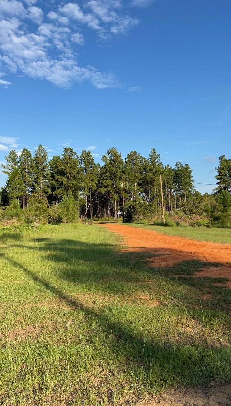 30141 Seed Orch Road Robertsdale, AL 36567 - Photo 2 of 11 Community