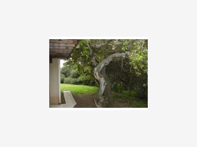 245 Walker Valley Road Castroville, CA 95012 - Photo 9 of 9 Gallery Image 9